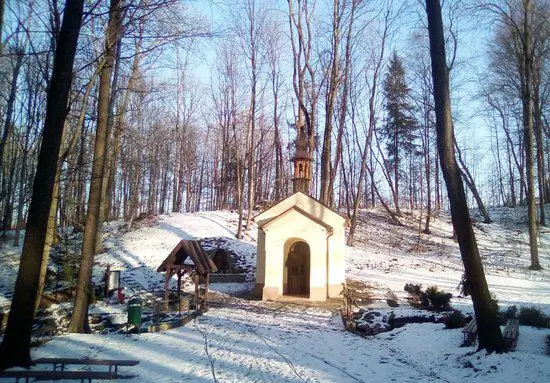 Rudzica
