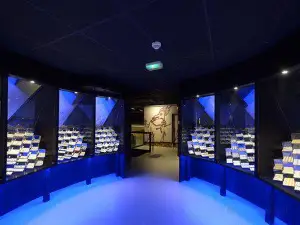 Musée de la Céramique à Desvres