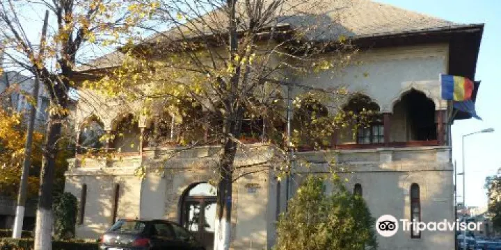 "Ion Jalea" Sculpture Museum