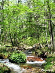 国営アルプスあづみの公園（大町・松川地区）