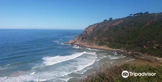 Dolphin Point Lookout