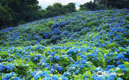 赤坂公衆園