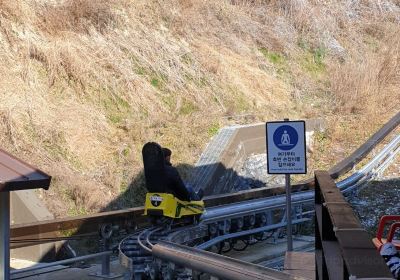 Alpine Coaster