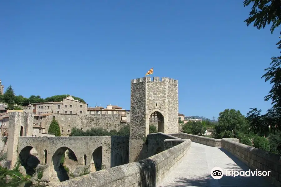 Puente viejo de Besalú (Pont vell de Besalú)