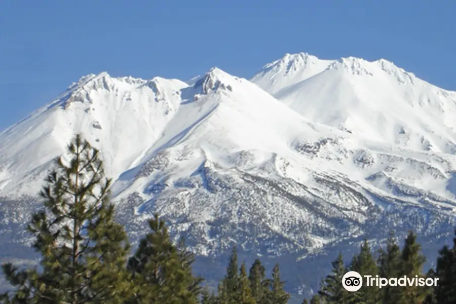 Mount Shasta