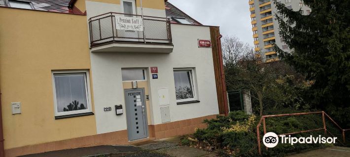 Penzion Sofi Hotels in Prag