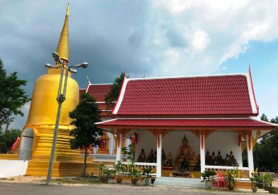 Wat Khlong Thom Museum