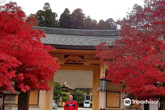 大阪城公園+難波宮跡公園+大阪歷史博物館+道頓堀+心齋橋一日遊