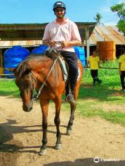 Beach Riding