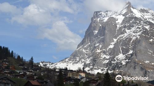 The Wetterhorn