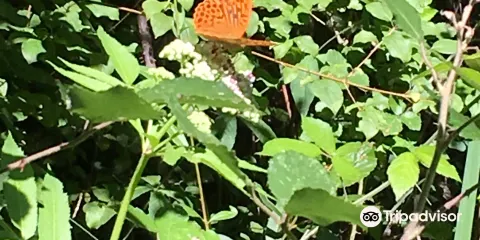 Le Marais de Bonnefont