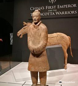 Terracotta Warrior Museum