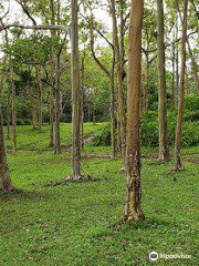 Keahua Arboretum