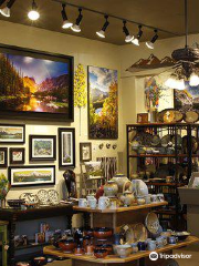 Aspen and Evergreen Gallery
