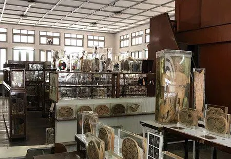 Siriraj Medical Museum