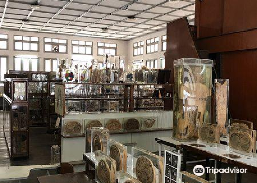 Siriraj Medical Museum