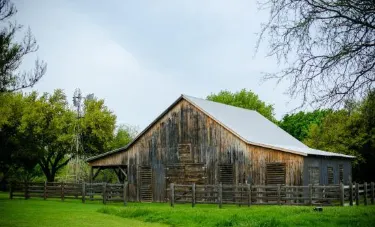 Dallas County