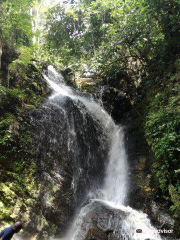 Erin Ijesha Waterfall (Olumirin Waterfalls)