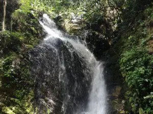 Erin Ijesha Waterfall (Olumirin Waterfalls)