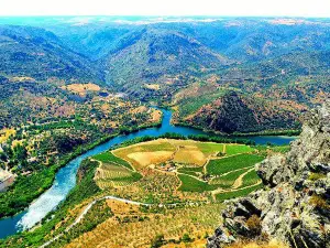 Penedo Durao Lookout