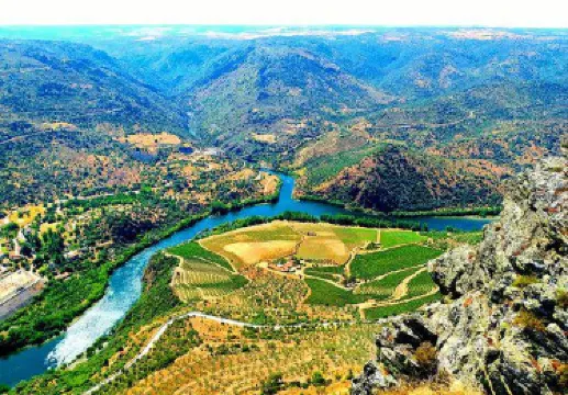 Freixo de Espada a Cinta