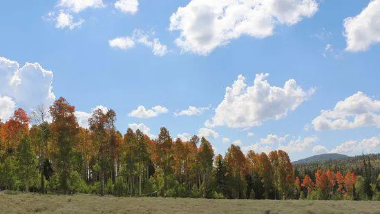 Brian Head-Panguitch Lake Scenic Byway