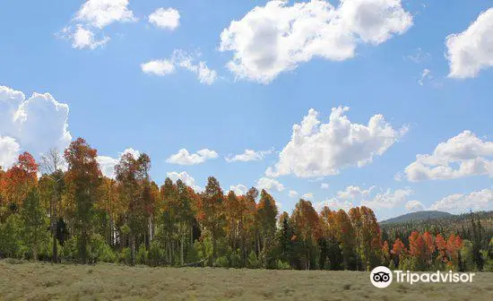 Brian Head-Panguitch Lake Scenic Byway