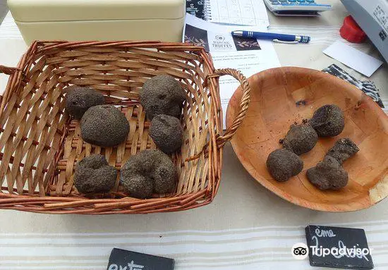 La Maison de la Truffe et du Tricastin