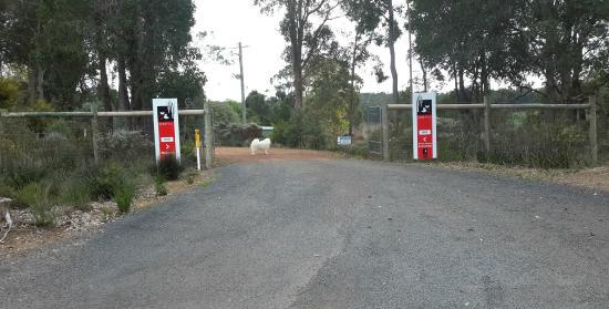 Firetail Wines