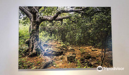 Portal de Museos de la Universidad Nacional de Colombia - Claustro de San Agusti-n