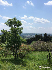 Kazuo Iwamura Picture-Book Hill Museum