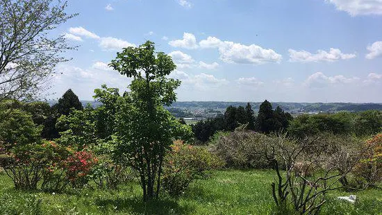 Kazuo Iwamura Picture-Book Hill Museum