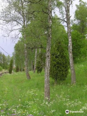 Lundens naturreservat