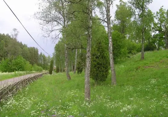 Jarnforsen