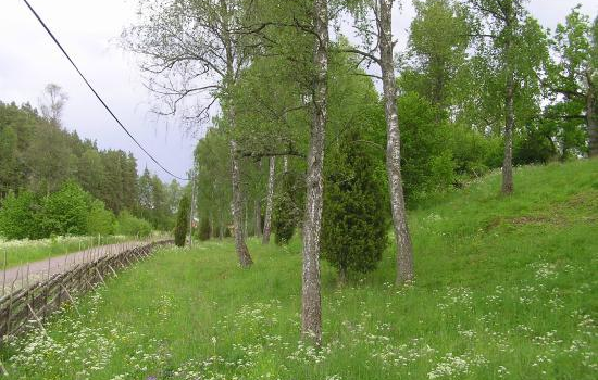 Lundens naturreservat