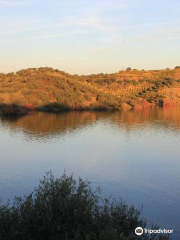 Embalse de La Brena II