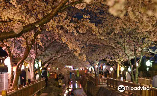 鹿の井出水