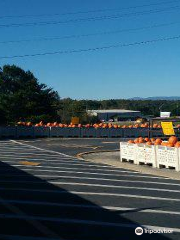 Panorama Orchards & Farm Market