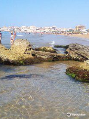 Beach Black Stones