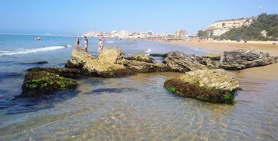 Beach Black Stones