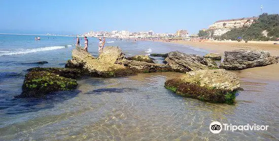 Beach Black Stones