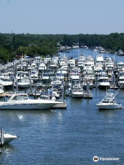 Village Shores Marina