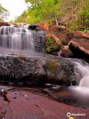 Glendale Falls