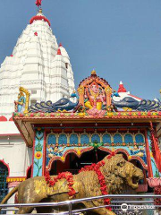 Maa Samaleswari Temple