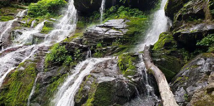 マクドウェルのホテル