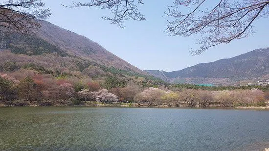 Jinhae NFRDI Environment Eco-Park