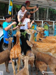 コーンケーン動物園