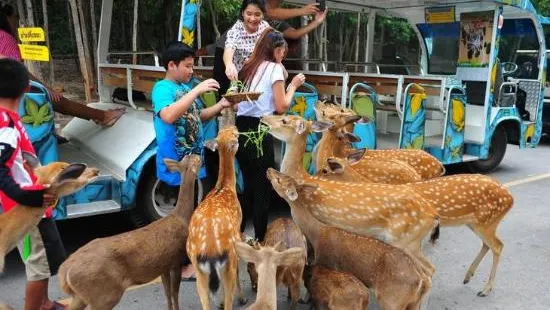 コーンケーン動物園