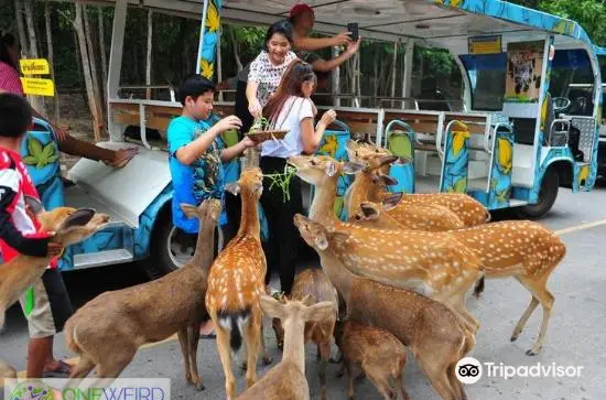 Khon Kaen Zoo