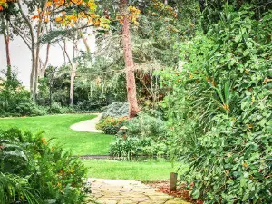 Wanneroo Botanic Gardens | Mini Golf and Glow Golf
